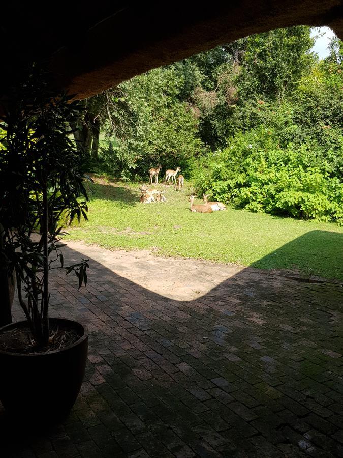 האזיביו Kruger Park Lodge Unit No. 277 מראה חיצוני תמונה